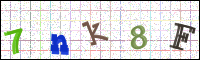 Image Verification