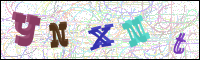 Image Verification