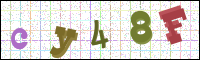 Image Verification