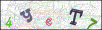 Image Verification
