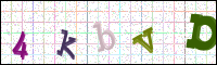 Image Verification