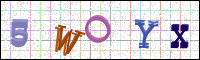 Image Verification