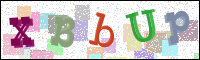Image Verification