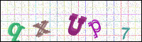 Image Verification