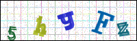 Image Verification