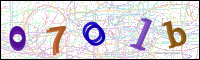 Image Verification