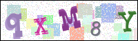 Image Verification