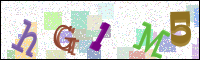 Image Verification