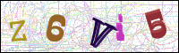 Image Verification