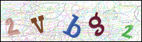 Image Verification