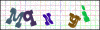 Image Verification