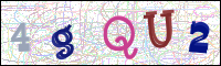 Image Verification