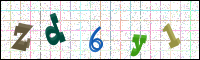 Image Verification