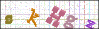 Image Verification