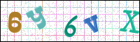 Image Verification