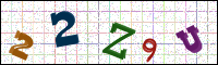 Image Verification