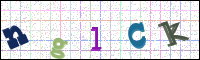 Image Verification