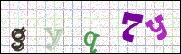 Image Verification