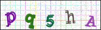 Image Verification