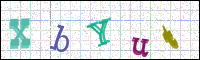 Image Verification