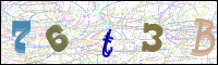 Image Verification