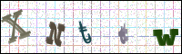 Image Verification