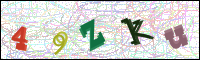 Image Verification