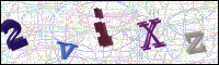 Image Verification