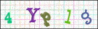 Image Verification
