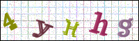 Image Verification