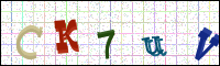 Image Verification