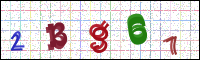 Image Verification