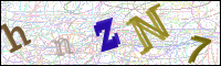 Image Verification
