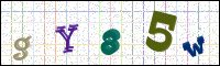 Image Verification