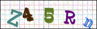 Image Verification