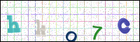 Image Verification