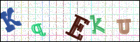 Image Verification