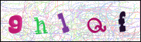 Image Verification