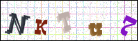 Image Verification