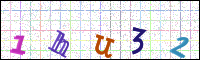 Image Verification