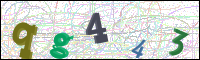 Image Verification
