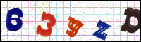 Image Verification