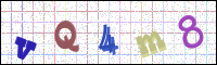 Image Verification