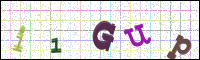 Image Verification