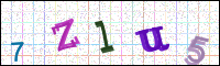 Image Verification