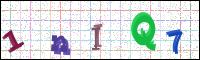 Image Verification