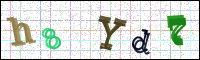 Image Verification