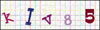 Image Verification