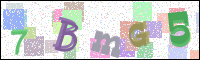 Image Verification