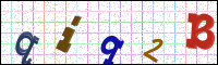 Image Verification